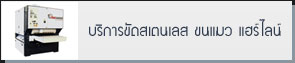 บริการขัดสเตนเลส ขนแมว แฮร์ไลน์